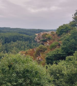 La Roche d'Oëtre et la Rouvre par le sentier des méandres - Saint-Philbert-sur-Orne - 36