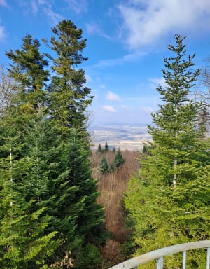 Le Jura alsacien à Wolschwiller - Wolschwiller - 7