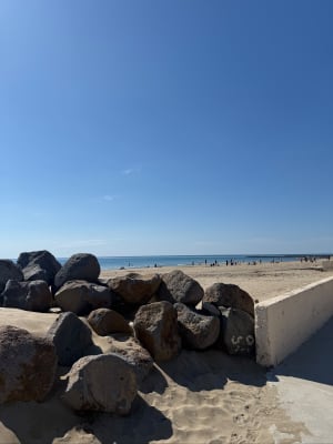 Balade entre le Port du Cap d'Agde et la Tours des Anglais - Agde - 10