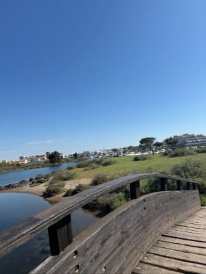 Balade entre le Port du Cap d'Agde et la Tours des Anglais - Agde - 12