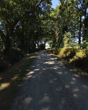 Village de la Faverie au naturel - La Chapelle-Hermier - 4