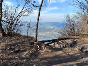 La Dent de Moirans - Montaud - 11