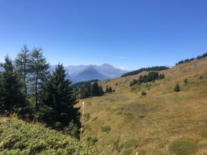 Grand Naves et extras panoramas - Grand Naves - 3
