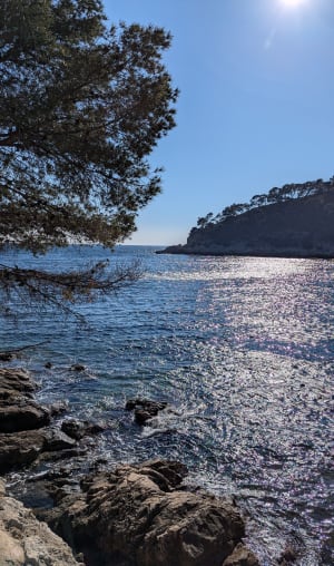 Kustpad van Bandol naar Port d'Alon - Bandol - 47
