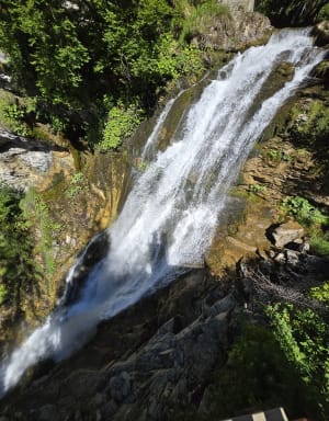 Tour du lac de Montriond et la jolie cascade d’Ardent - Montriond - 22