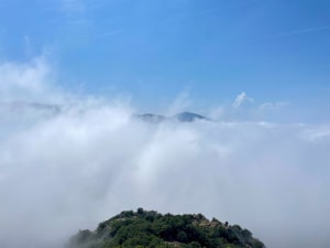 La Massane - Argelès sur Mer - 12