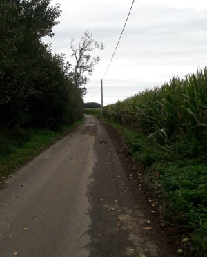 Goderville town - Goderville - 6