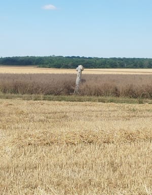 Sur les hauteur de l'Aubette depuis Bray-et-Lû - Bray-et-Lû - 5