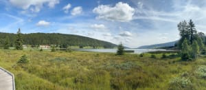 Jusqu’au lac des Rousses - Les Rousses - 24