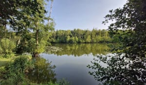 Les vaux de Cernay - Roxane - 9
