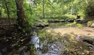 Les vaux de Cernay - Roxane - 11