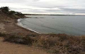 Randonnée en bord de mer à Collioure - Argelès-sur-Mer - 13