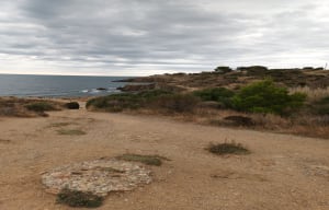 Randonnée en bord de mer à Collioure - Argelès-sur-Mer - 14
