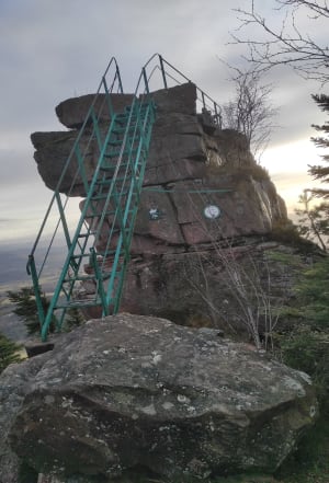 Roches du Sapin, de l'Ormont et Tête de Raves - Nayemont-les-Fosses - 11