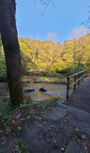 Lus in de Stangala-kloven - Quimper - 15