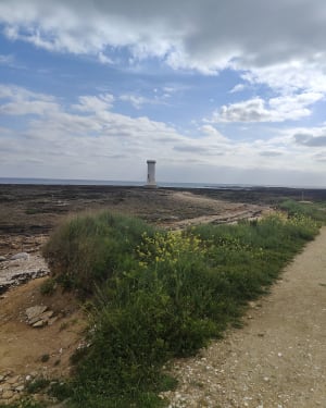 Presqu'île de Penerf - Damgan - 4