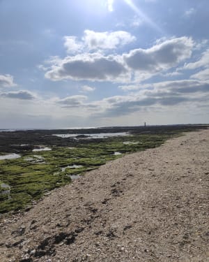 Presqu'île de Penerf - Damgan - 5