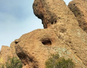 Fascinerende ontdekking van de Koekoekssteenmolensteen - Bagnols-en-Forêt - 32