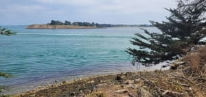 Ile aux moines - Pointe du Nioul - Île-aux-Moines - 9