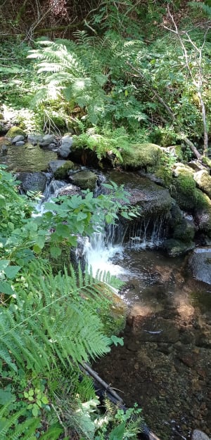 Boucle Jassat et St-Victor-La-Rivière - Saint-Victor-la-Rivière - 11