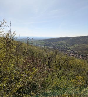 Château d'Andlau, auberge Hungerplatz et  château Spesbourg. - Mittelbergheim - 9