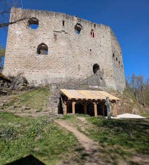 Château d'Andlau, auberge Hungerplatz et  château Spesbourg. - Mittelbergheim - 10