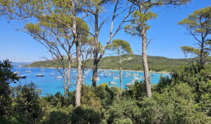 Précieuse île de Porquerolles et promesse d'évasion - Porquerolles - 3
