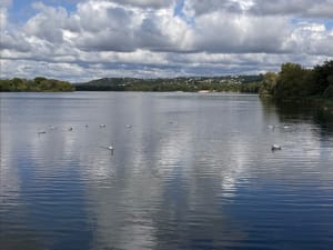 Aangename wandeling rond het Blue Water Lake - Vaulx-en-Velin - 5