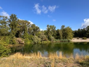 Aangename wandeling rond het Blue Water Lake - Vaulx-en-Velin - 7