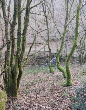 Balade de la Croix Boyon par la Meulière - Moissey - 8