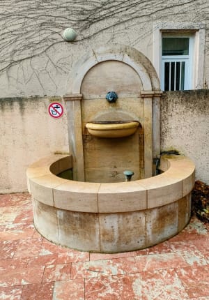 Avène, station thermale, par Beau Désert - carole - 4