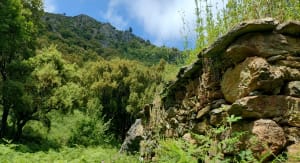 Hauteurs de Biguglia, à Sambucu - Biguglia - 22