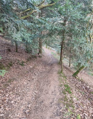 Balade de la Croix Boyon par la Meulière - Moissey - 9