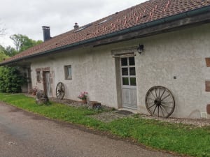 Het "Klein Finland" van het Duizendvijversplateau - Servance-Miellin - 13
