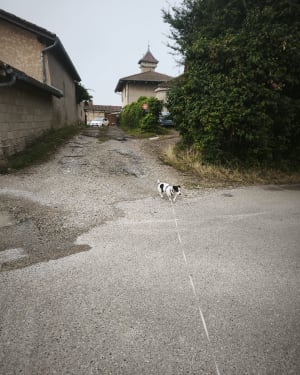 Clémenciat - L'Abergement-Clémenciat - 2