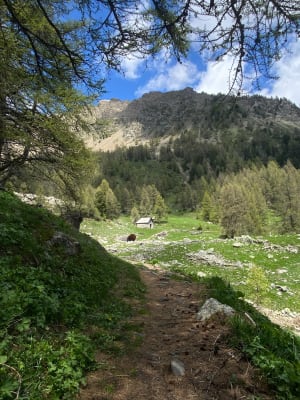 Mont Guillaume par les Séyères depuis Porte de la Forêt - Nicolas - 19