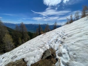 Mont Guillaume par les Séyères depuis Porte de la Forêt - Nicolas - 21