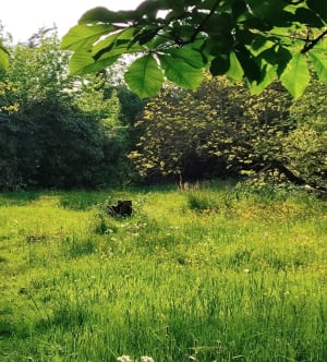 Promenade au coeur du parc Canivenc et de sa faune variée. - GRADIGNAN - 8