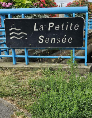 Lambres-Lez-Douai le long de Canal de la Sensée - Valerie - 9