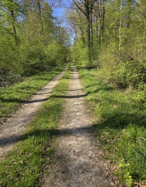 Dieffmaten par Bellemagny et le couvent des sœurs - Diefmatten - 8