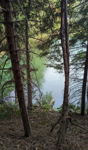 Demi-tour paisible au lac de Villefort - Laurence - 14