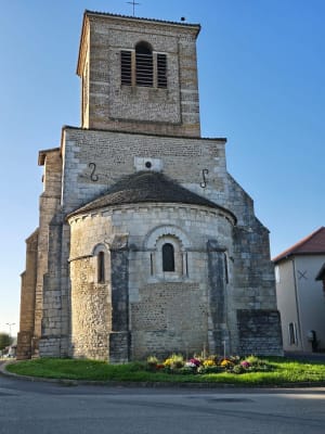 Les joies de la campagne à Sandrans - Sandrans - 7