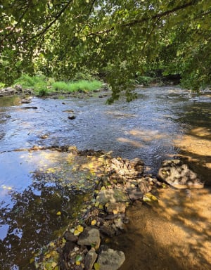 Flâneries au long cours de l'Aveyron - Rodez - 3