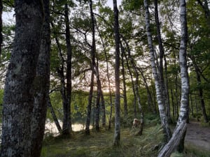 Magnifique parcours  Fond de Boirand - Razès - 9