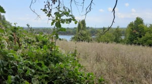 Le Thoureil - Gennes-Val-de-Loire - 6