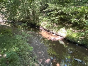 Sentier du château - Sidiailles - 7