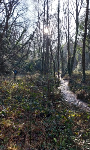 Promenade dans la vallée du Lude - Carolles - 43
