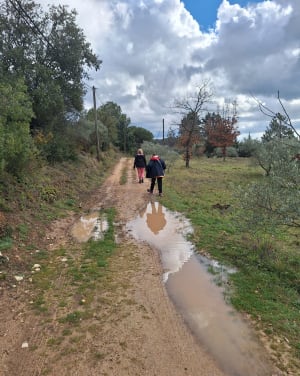 Virée champêtre autour de Saint-Cannat - Saint-Cannat - 2