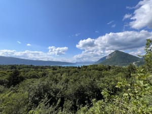 Roc de Chère-toren en alomtegenwoordige wilde dieren - Menthon-Saint-Bernard - 13