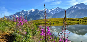 De Besoëns Alpenweide van Montjoie - Les Contamines-Montjoie - 8